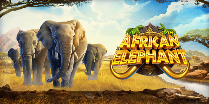 Cara Simpel Untuk Meraih Cuan Besar di Slot African Elephant